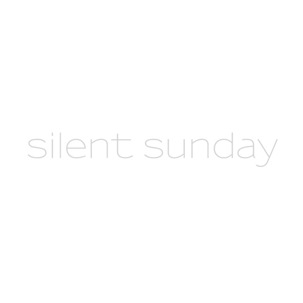 120115_SilentSunday